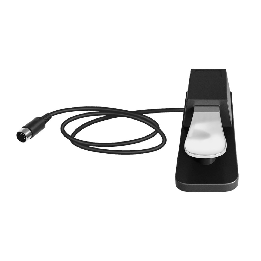 Czarny pedał fortepianu z kablem i złączem na białym tle.