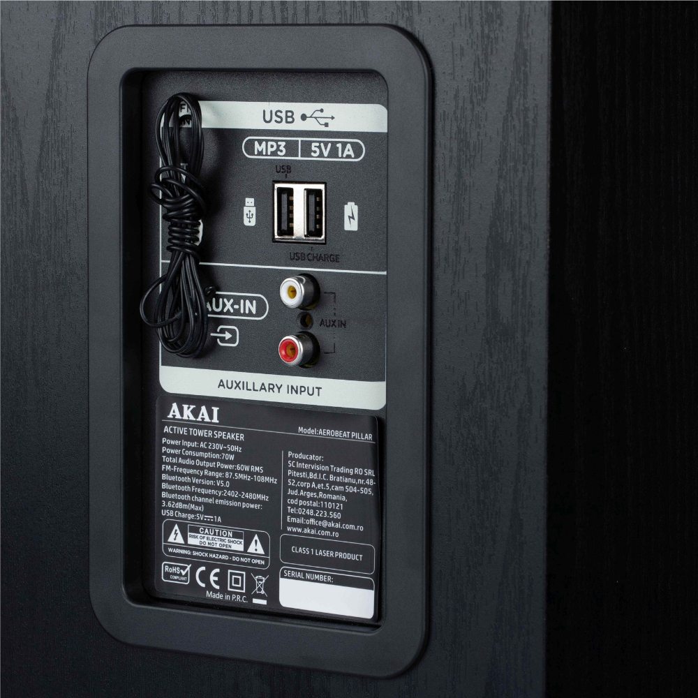 Tył czarnego głośnika z portami: USB, AUX-IN i informacjami o produkcie.