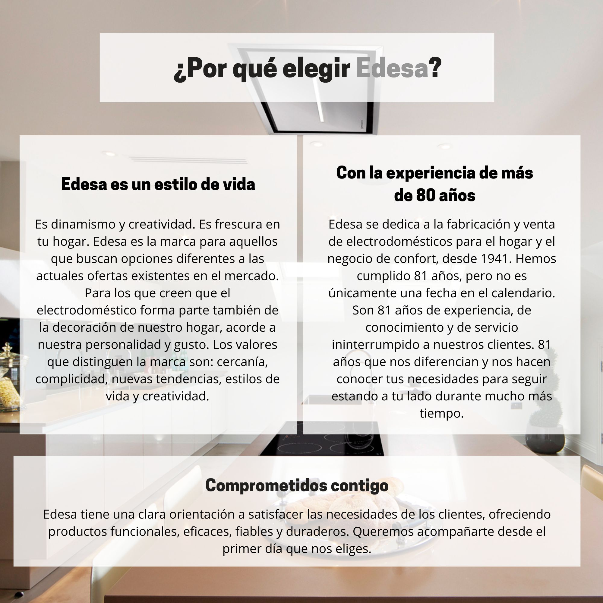 Fondo de cocina con cuadros de texto sobre la marca Edesa.