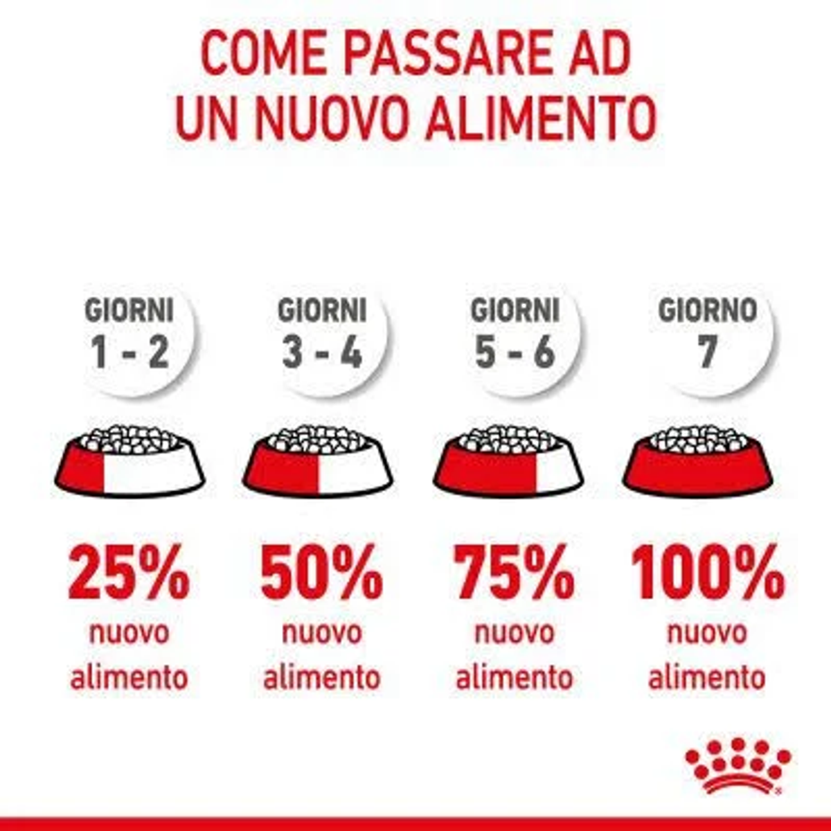 Transición gradual de alimento: 25%, 50%, 75%, 100% alimento nuevo por días.