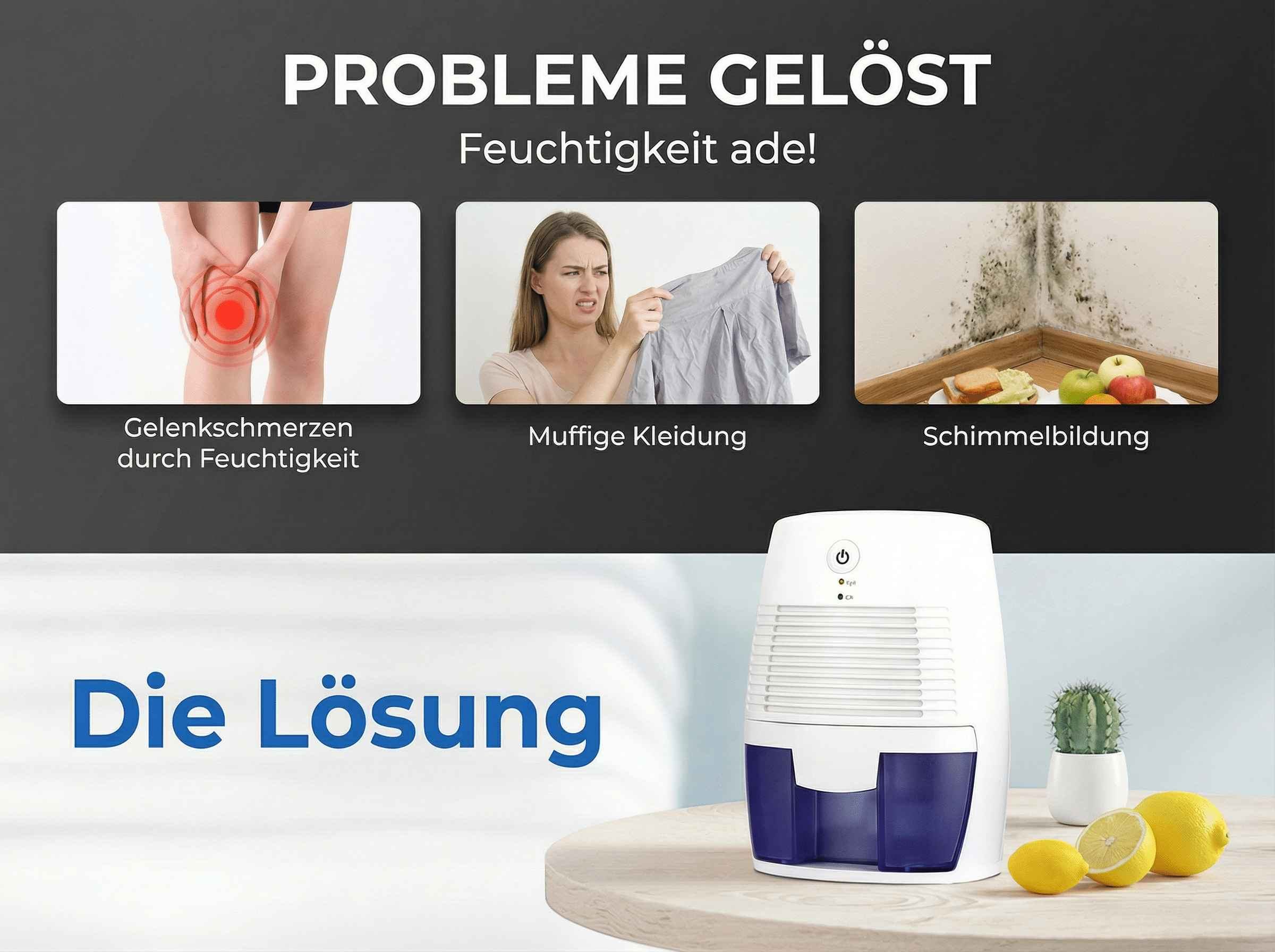 Probleme gelöst: Gelenkschmerz, muffige Kleidung, Schimmelbildung. Lösung: Luftentfeuchter.