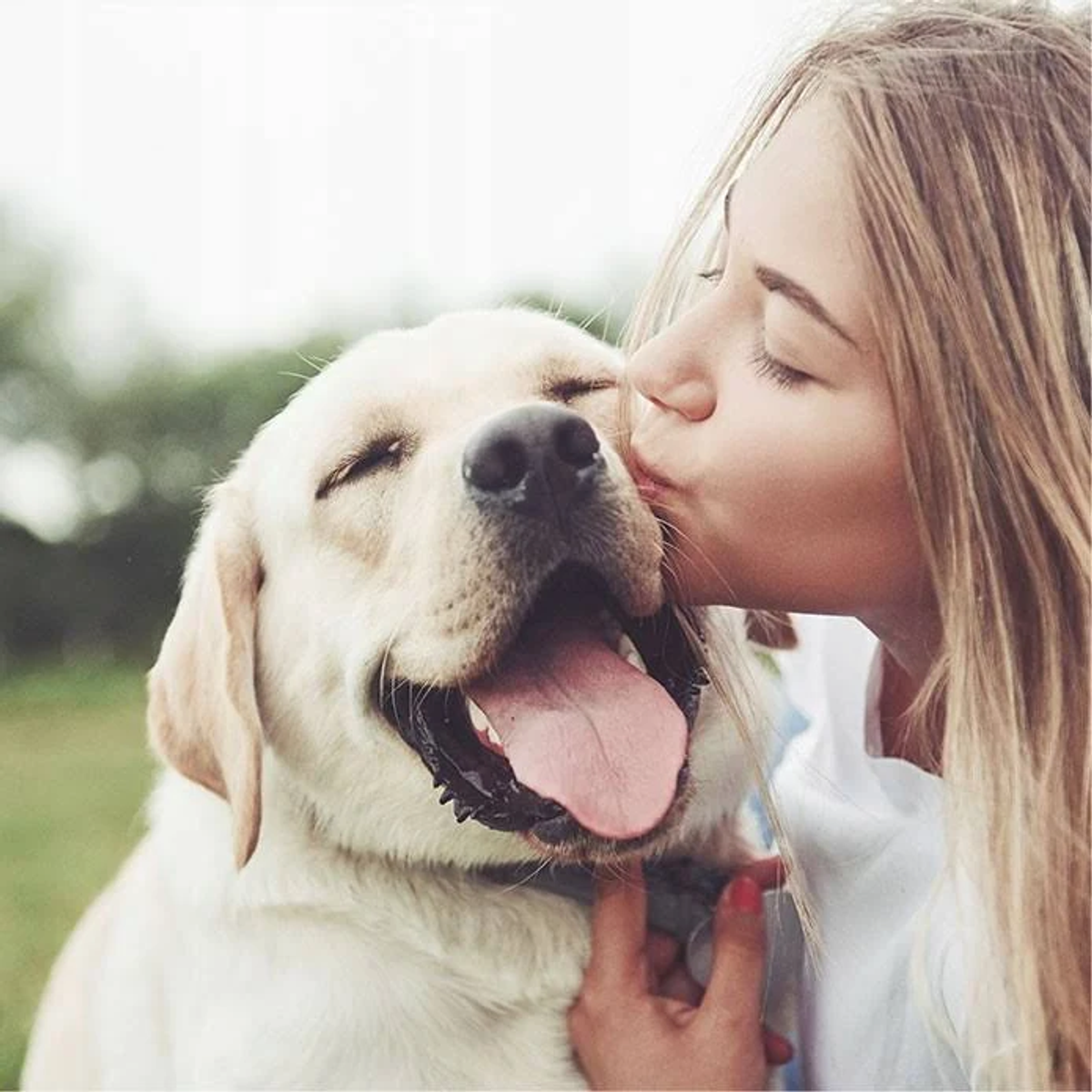 Una mujer besa a un labrador en la mejilla.