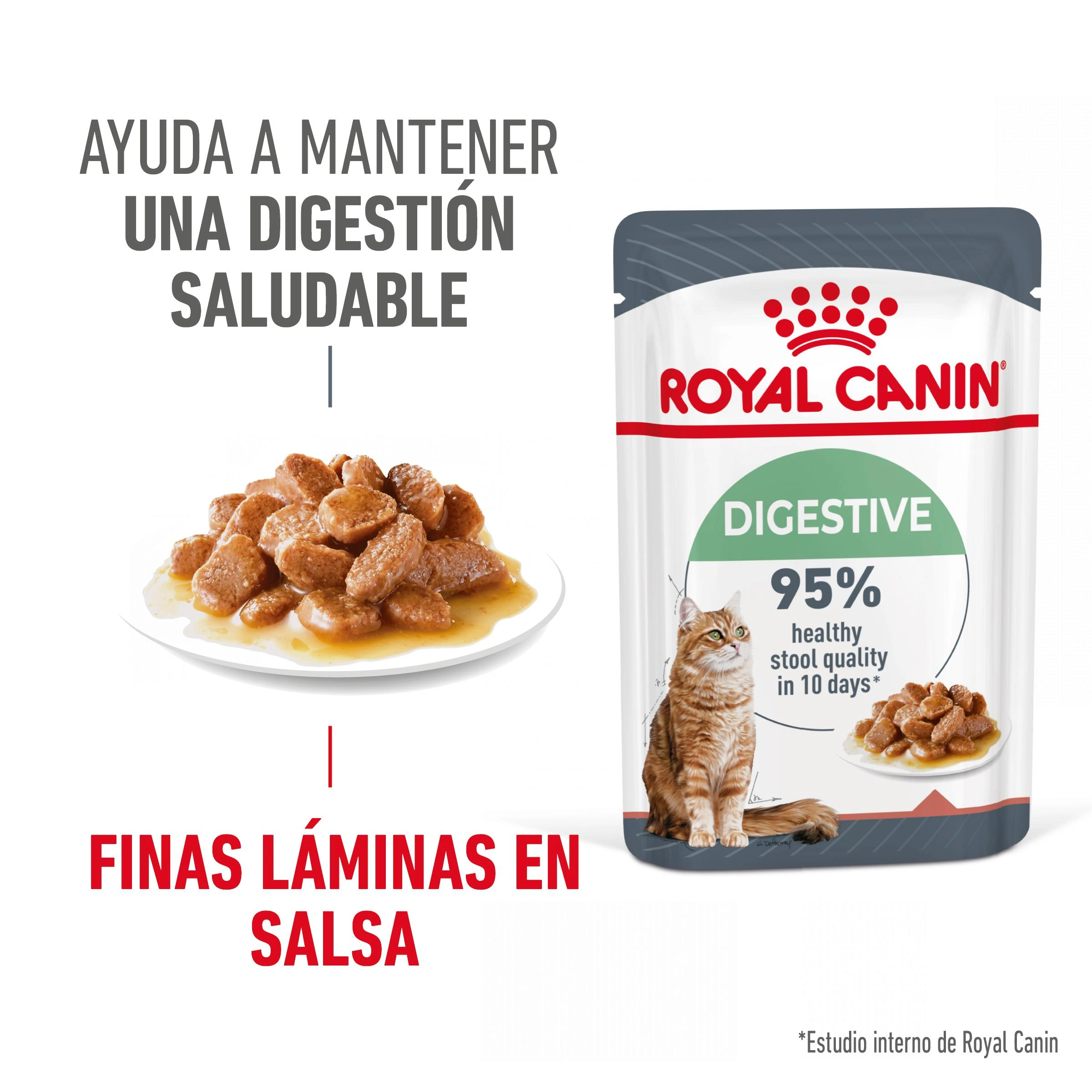Comida Royal Canin Digestive para gatos en finas láminas en salsa.
