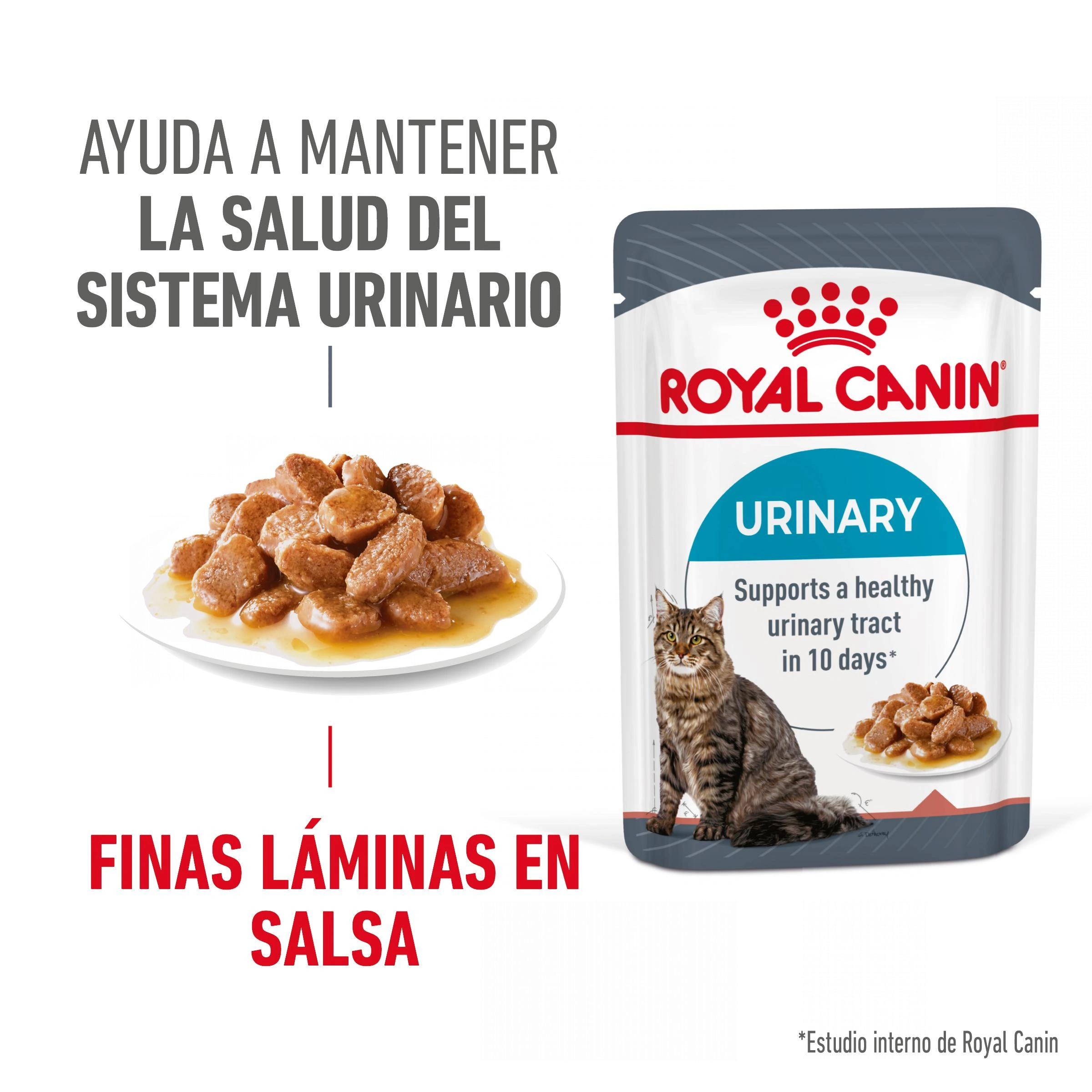 Bolsa Royal Canin Urinary con gato y comida húmeda.