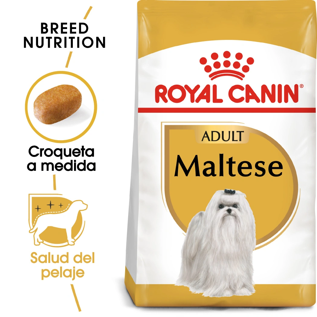 Torba karmy dla dorosłych psów rasy Maltańczyk Royal Canin.