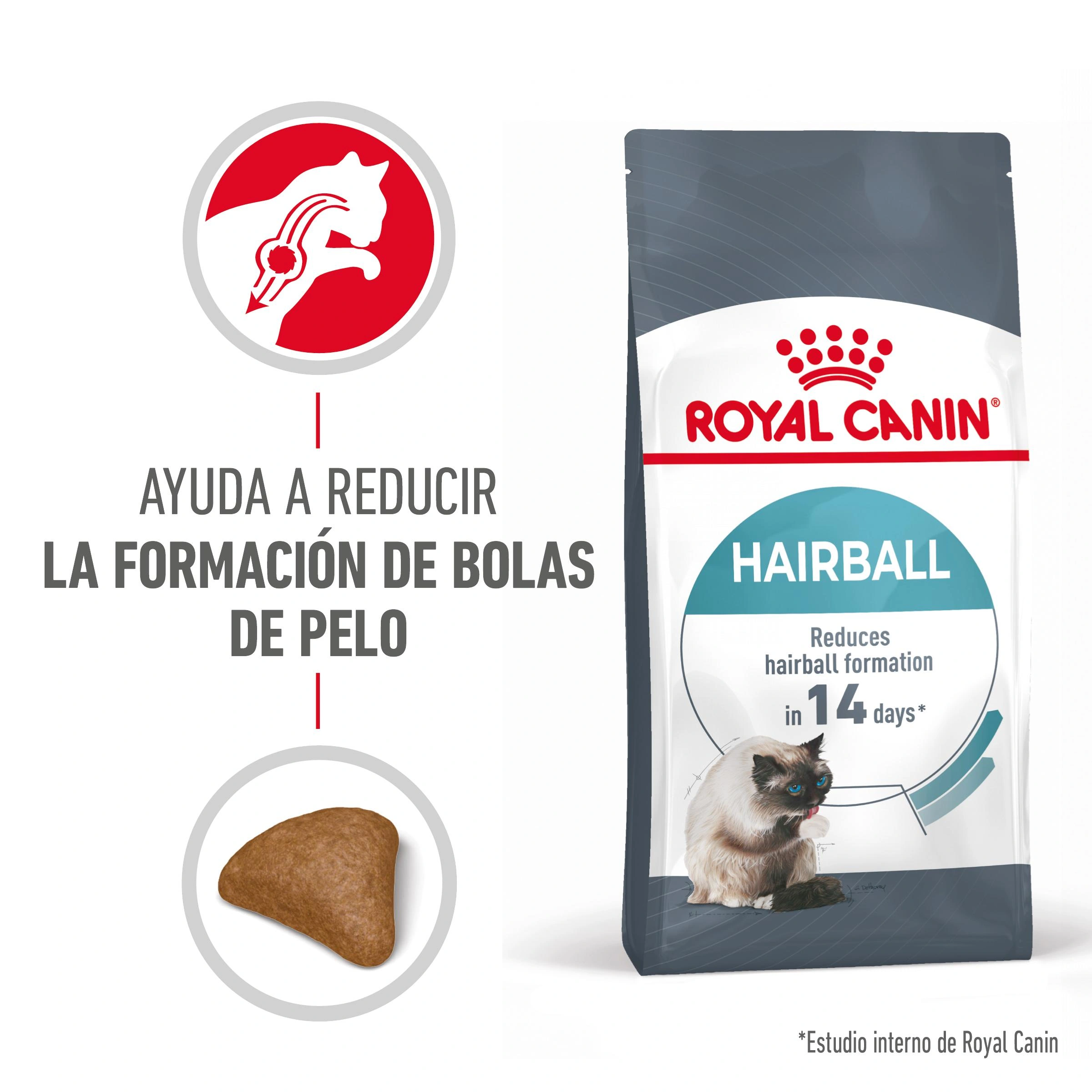 Karma dla kotów Royal Canin Hairball: pomaga zmniejszyć tworzenie kul włosowych.