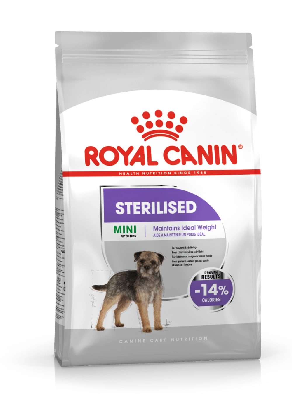 Torba karmy Royal Canin dla wysterylizowanych psów mini z psem rasy Border Terrier.