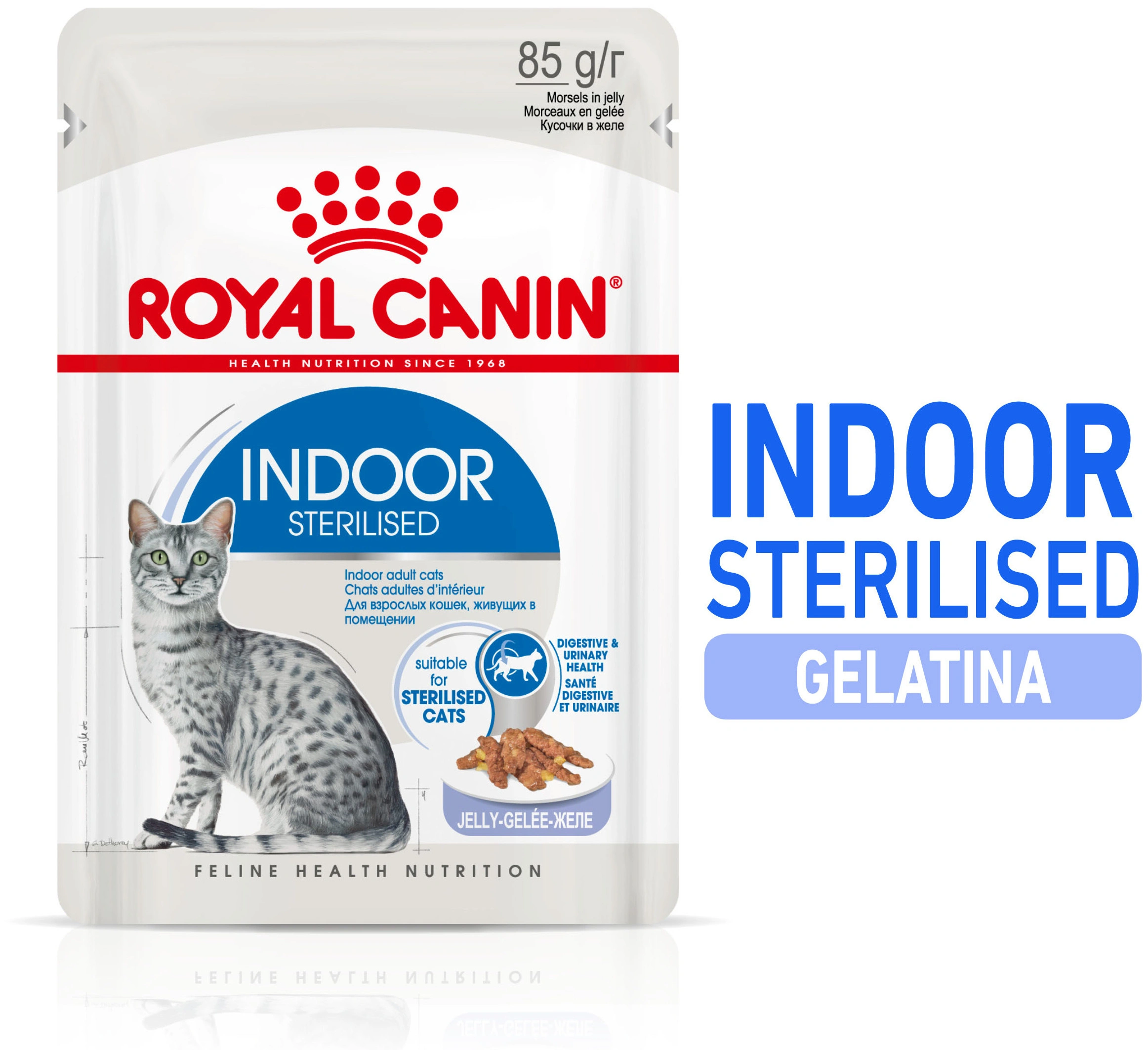 Comida para gatos Royal Canin Indoor Sterilised en gelatina, 85g.