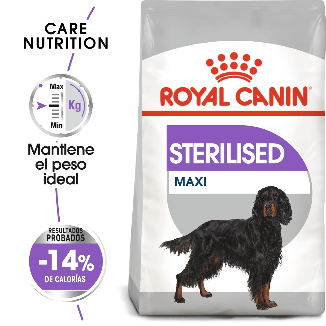 Bolsa de pienso Royal Canin Sterilised Maxi con un Gordon Setter.