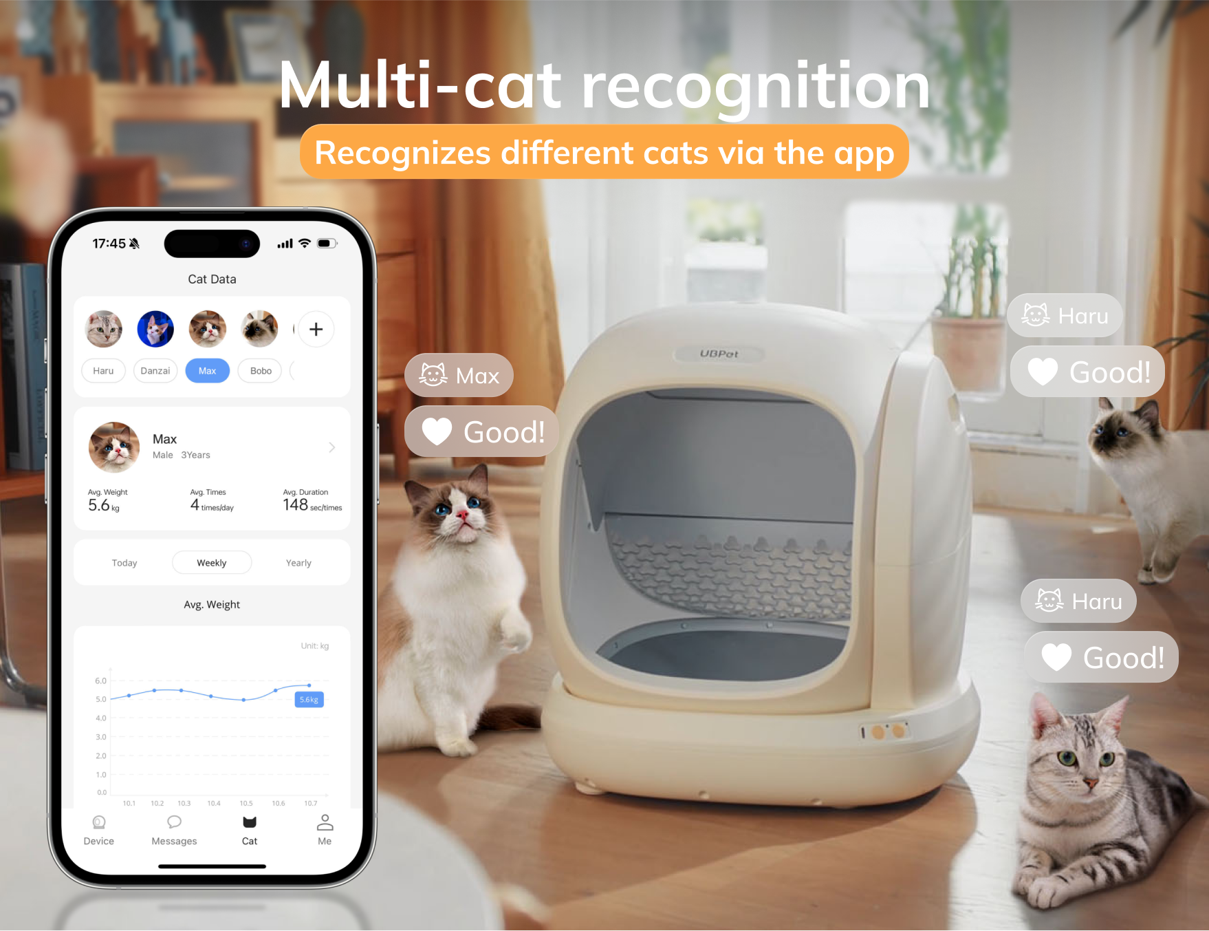 Uno smartphone mostra dati sui gatti accanto a una lettiera e tre gatti.