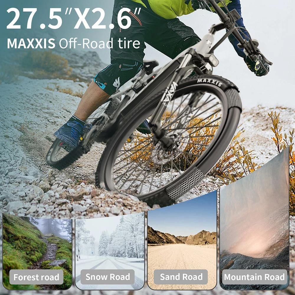 Ciclista de montaña con neumático MAXXIS en varios terrenos: bosque, nieve, arena, montaña.