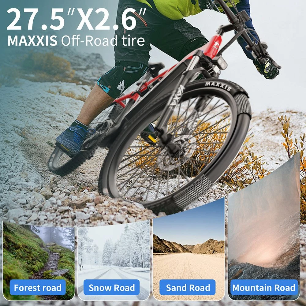 Un ciclista de montaña en un camino pedregoso. Cuatro imágenes muestran caminos de bosque, nieve, arena y montaña.