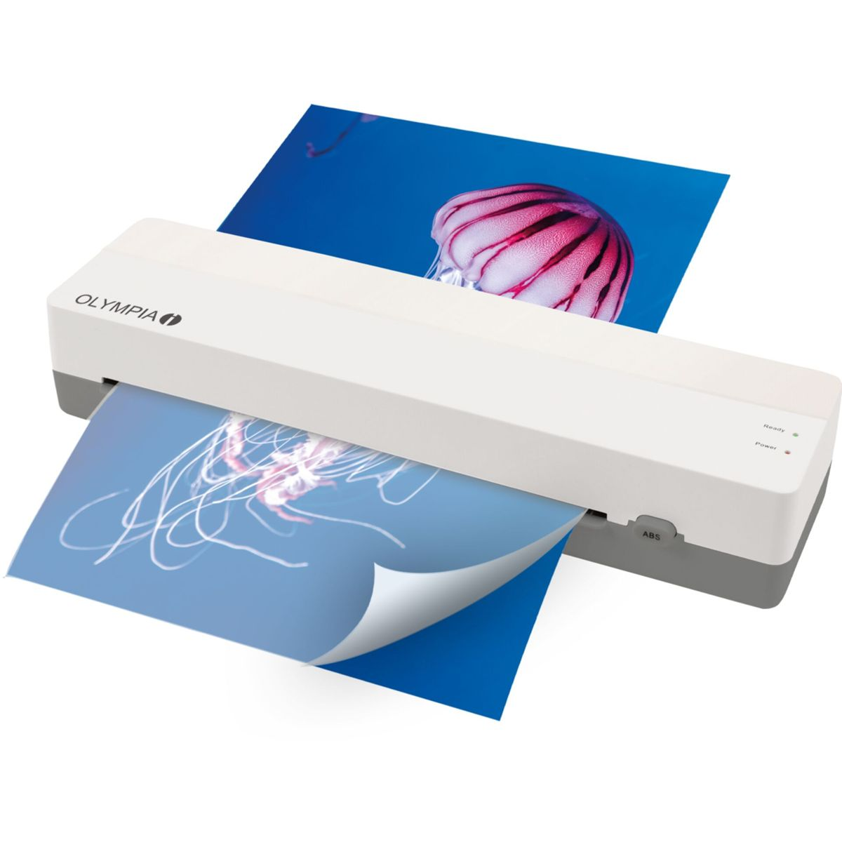 Ein weißer Olympia-Laminator laminiert ein Blatt mit Quallenbild.
