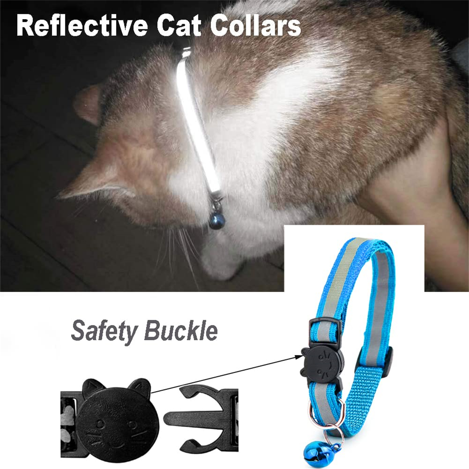 Ein getigerter Kater trägt ein reflektierendes Halsband mit Glöckchen. Detailansicht des blauen Halsbandes mit Sicherheitsverschluss.