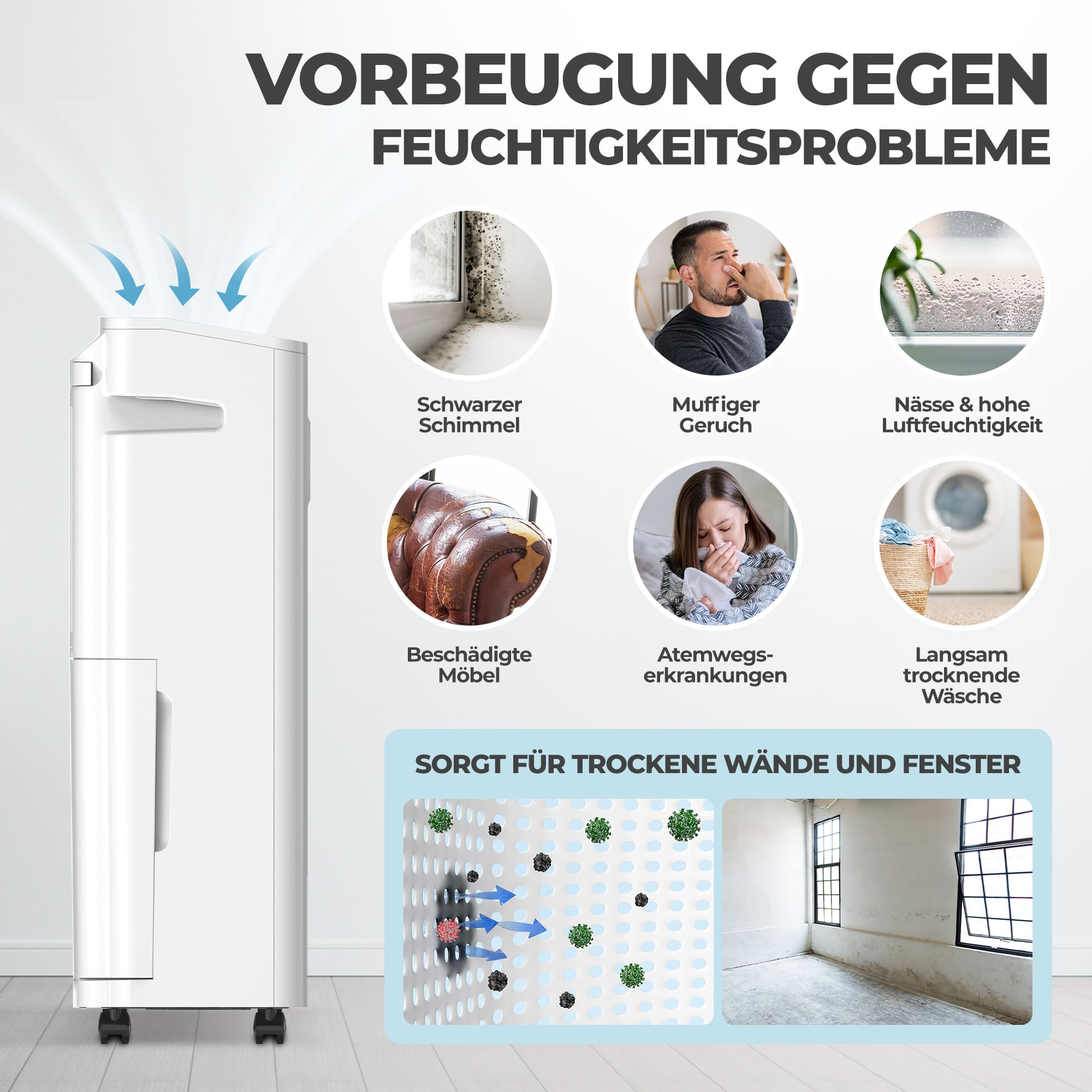 Ein Luftentfeuchter verhindert Schimmel, Geruch und feuchte Wände.