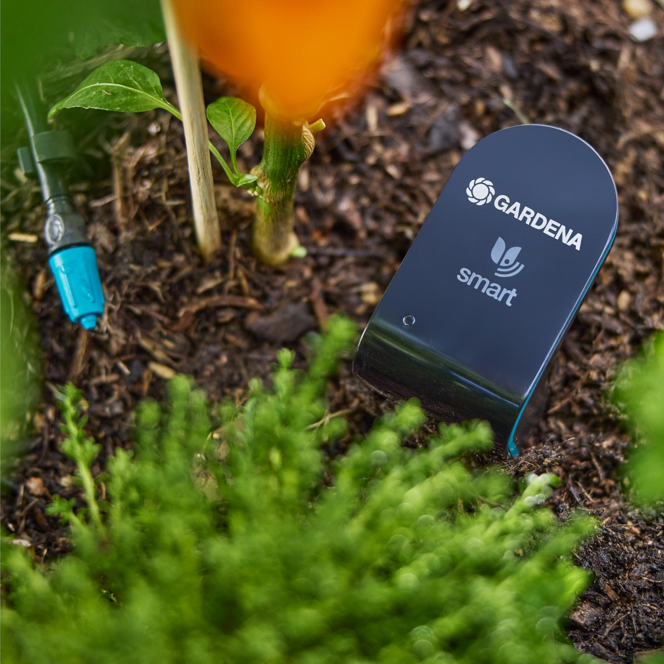 GARDENA Smart Sensor im Erdreich neben einer Pflanze mit Bewässerungssystem.