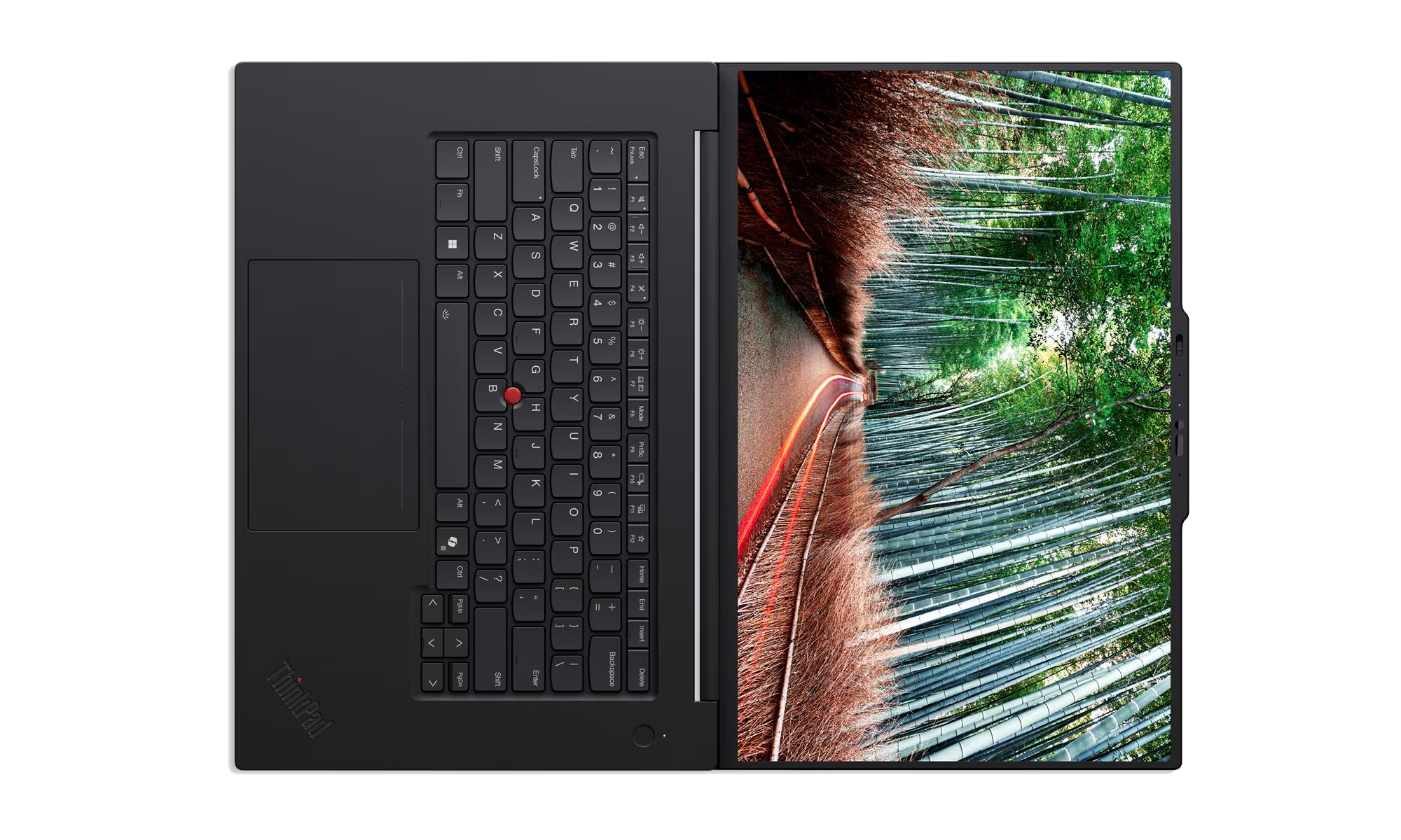 Un portátil negro abierto que muestra el teclado y un fondo de pantalla de bosque de bambú.
