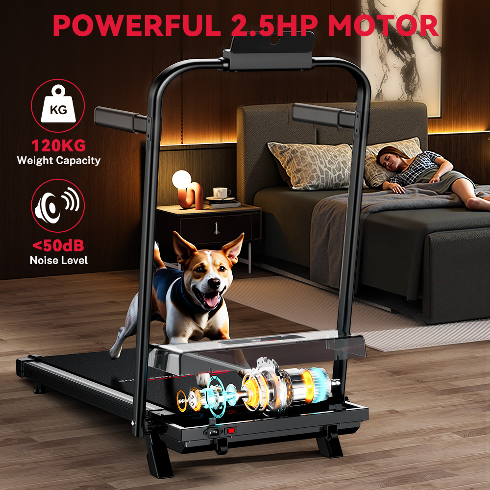 Pies stoi na bieżni w sypialni, kobieta śpi w łóżku.