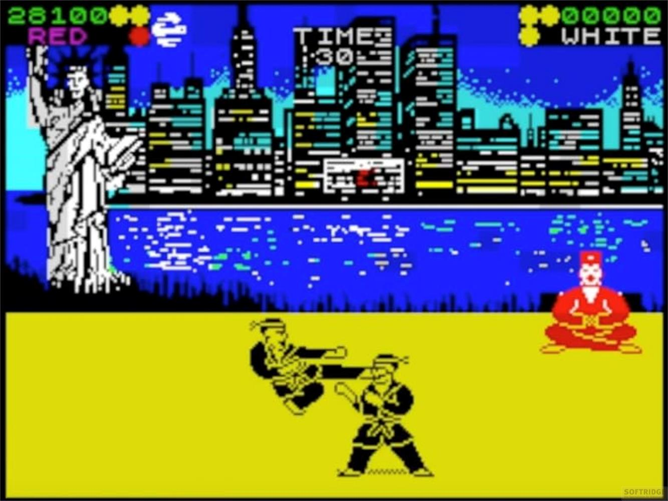Kampfsportler auf gelbem Grund vor New Yorker Skyline und Freiheitsstatue.