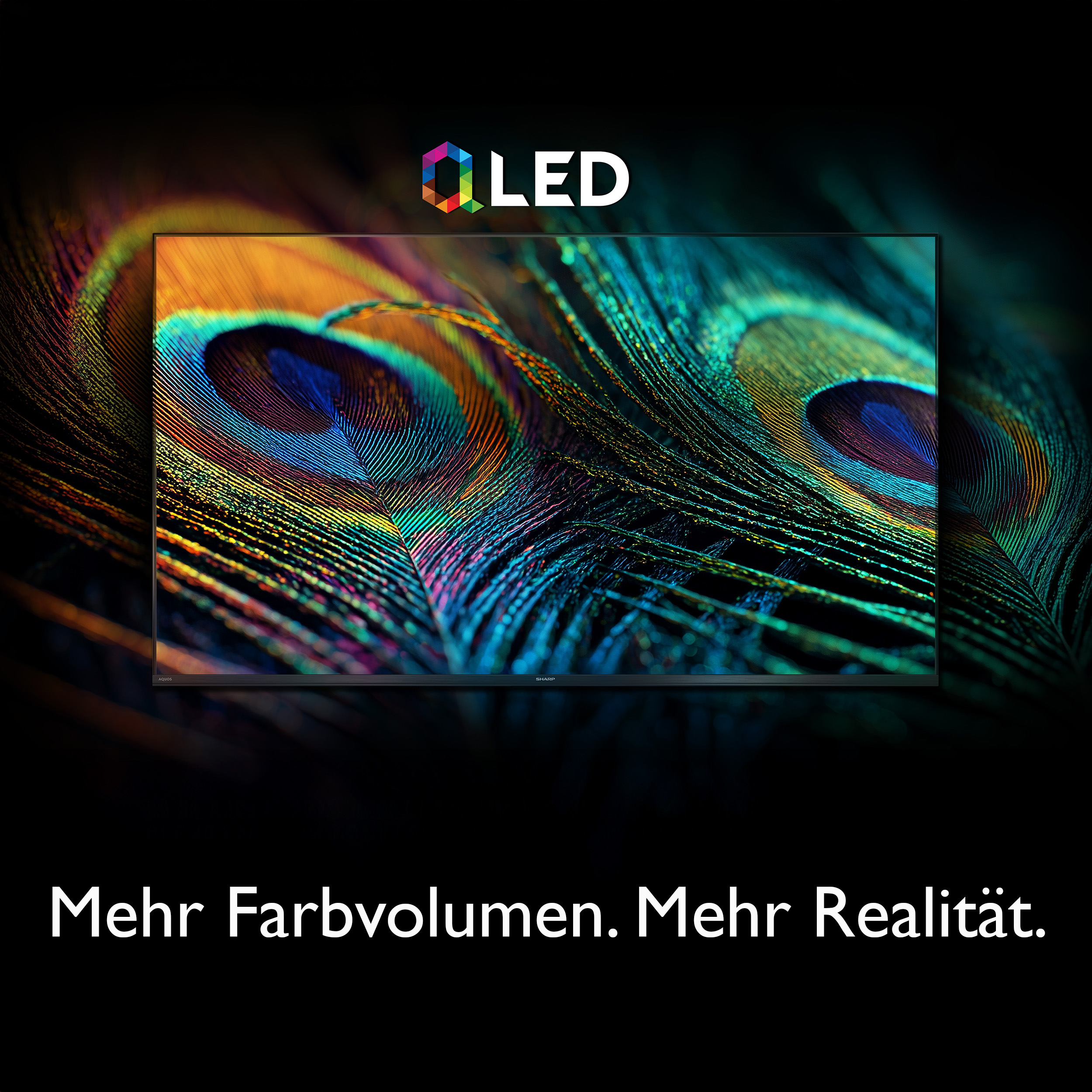 OLED TV zeigt Pfauenfederdetail. Mehr Farbvolumen. Mehr Realität.