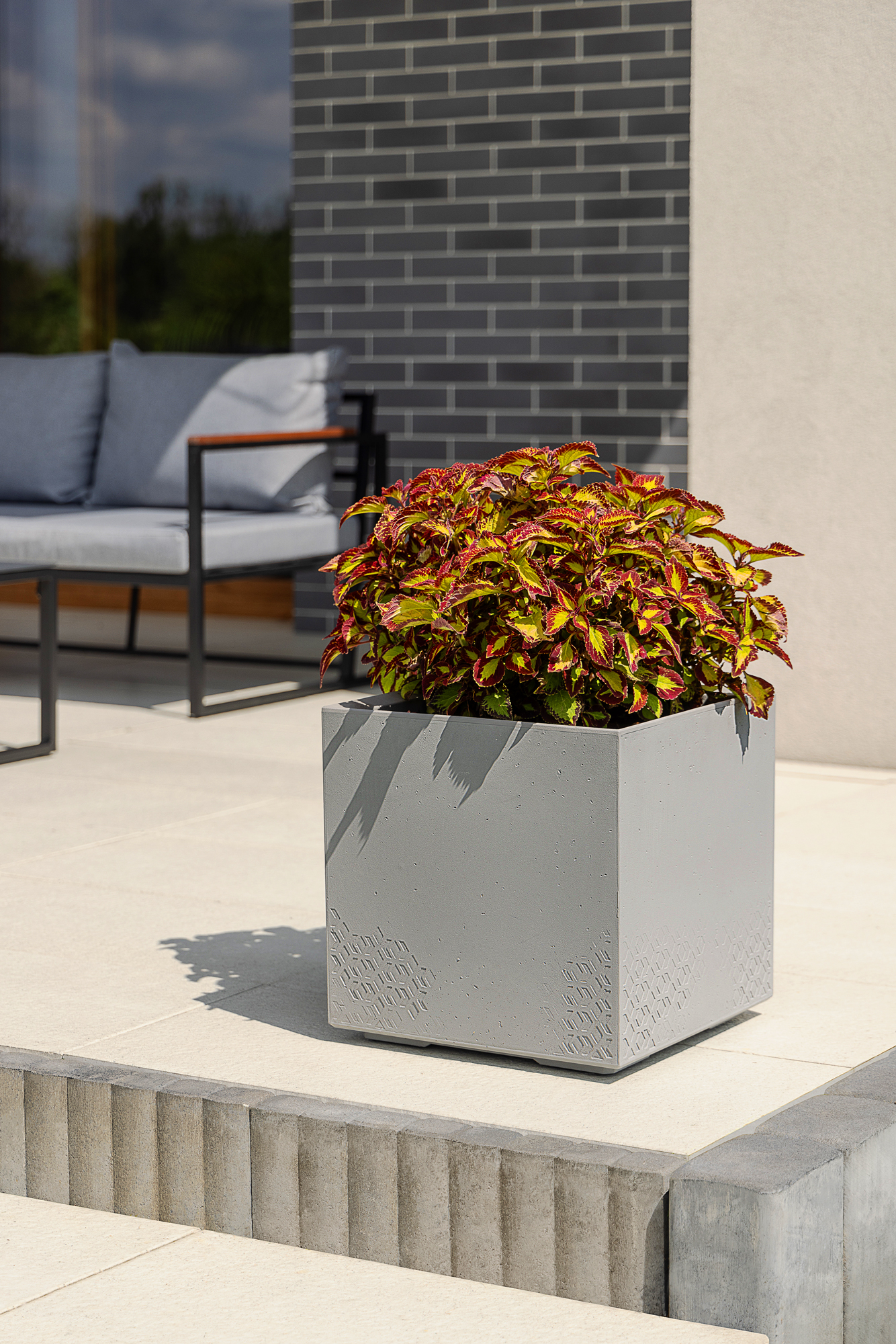 Grauer Betonwürfel mit bunter Pflanze auf heller Terrasse, Sofa im Hintergrund.