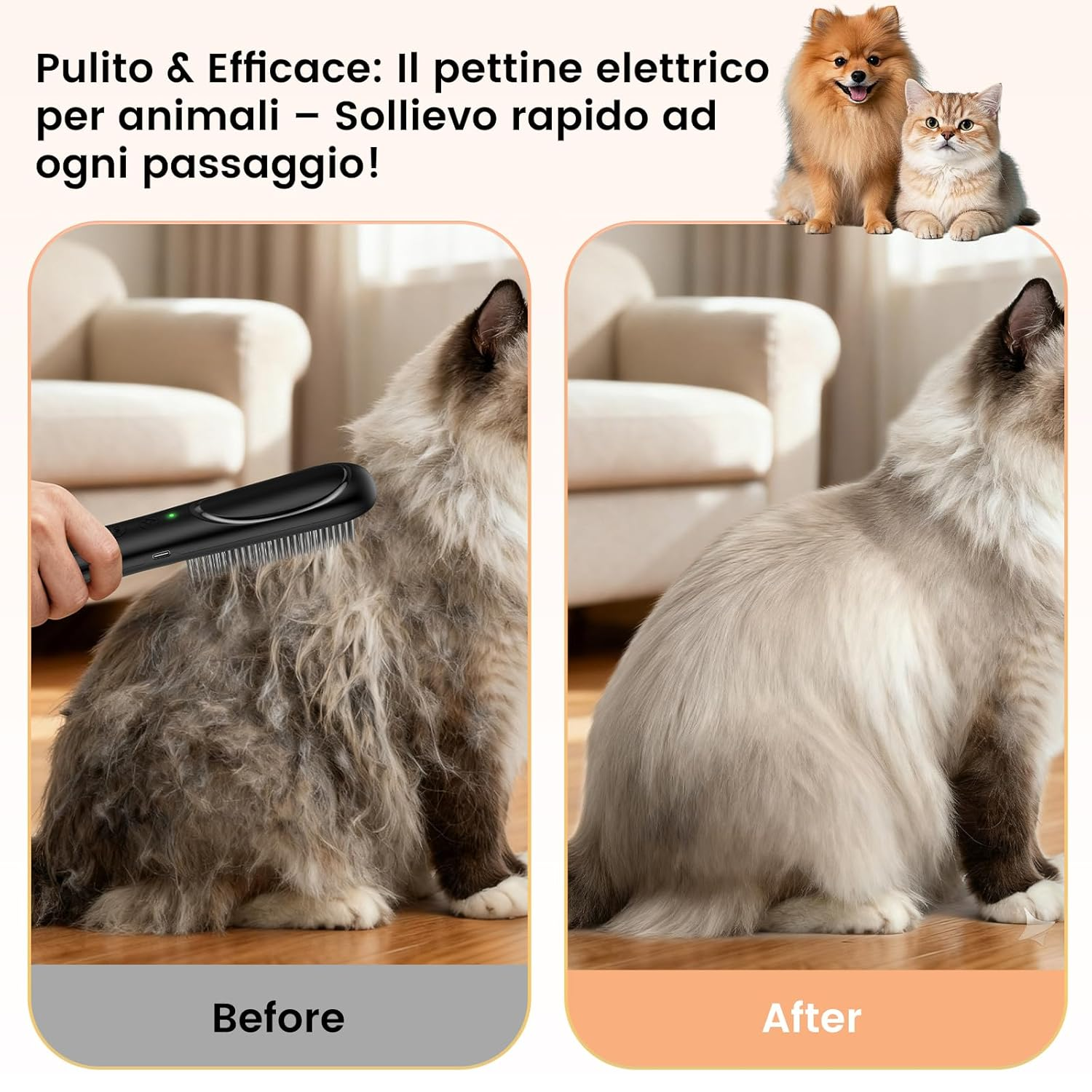 Vorher/Nachher-Bild einer Katze, die mit einem elektrischen Kamm gebürstet wird.