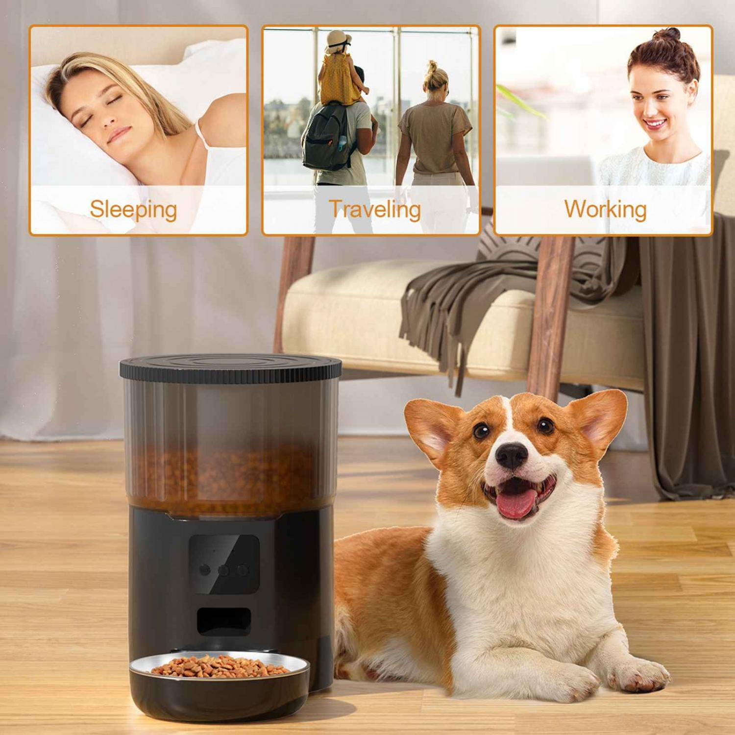 Ein Corgi liegt neben einem schwarzen Futterautomaten mit einer Schüssel Futter.