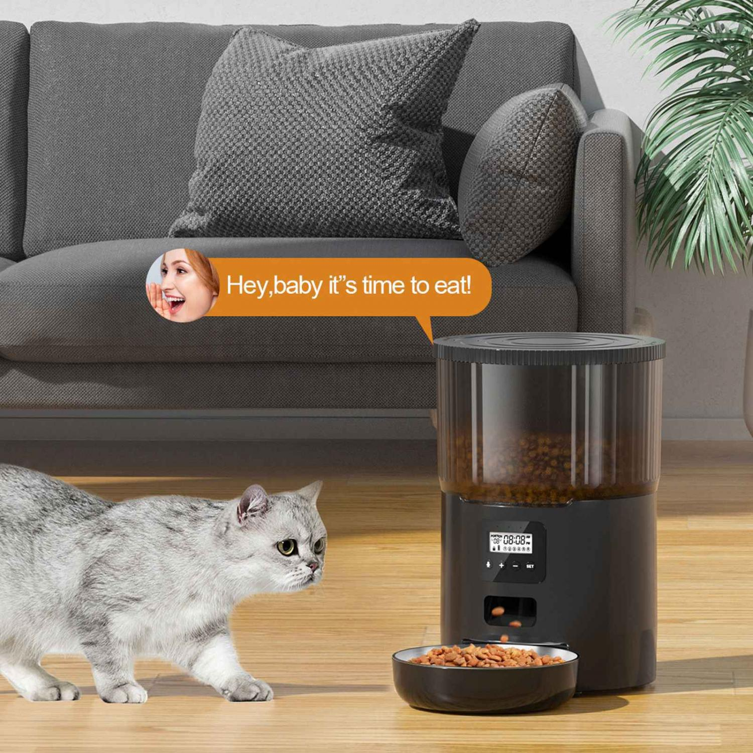 Eine graue Katze nähert sich einem Futterautomaten mit einer Schüssel.