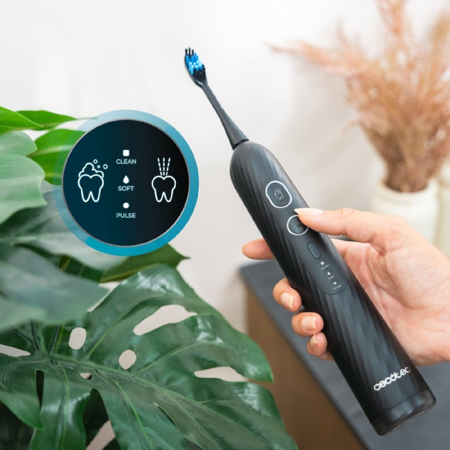 Uno spazzolino elettrico nero con setole blu viene tenuto. A sinistra un cerchio con icone di denti.