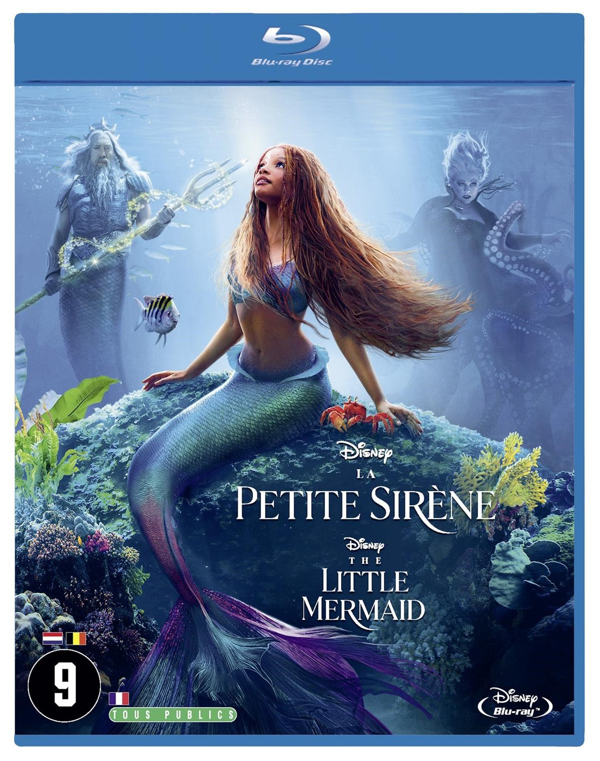 Ariel sits on a rock, surrounded by sea creatures. King Triton and Ursula in the background.