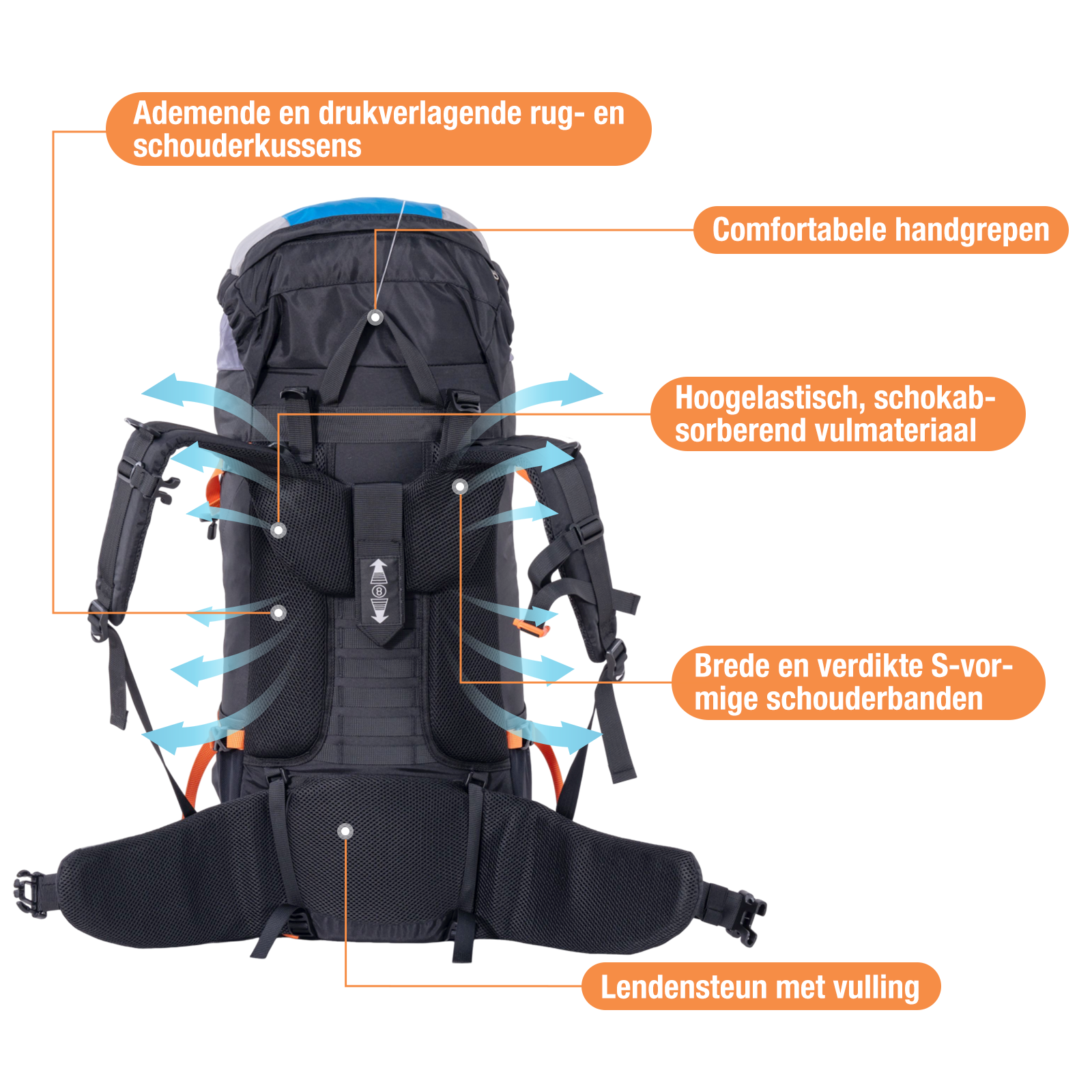 Backpack with padded shoulder straps, handles, and lumbar support.