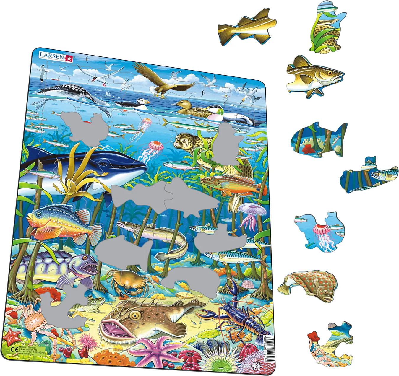 Ein Unterwasser-Puzzle mit vielen verschiedenen Meeresbewohnern und Vögeln.