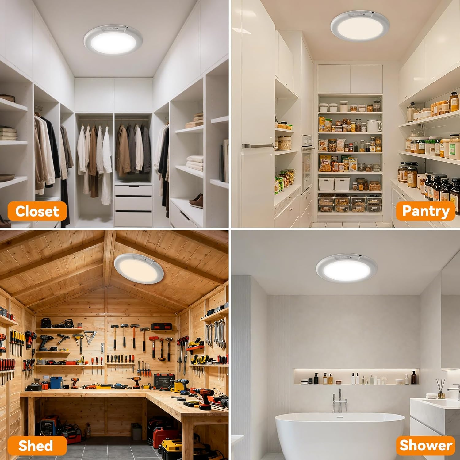 Quattro stanze con luci a soffitto: armadio, dispensa, capannone e bagno.