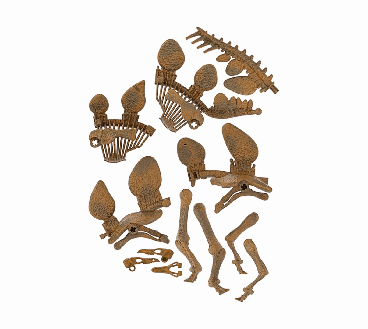 Pezzi di scheletro di dinosauro marroni sparsi su sfondo bianco.