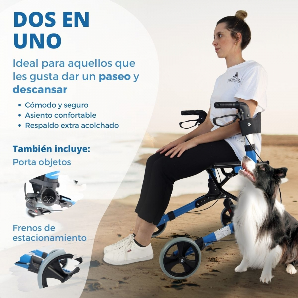 Una mujer sentada en un andador en la playa, con un perro al lado.