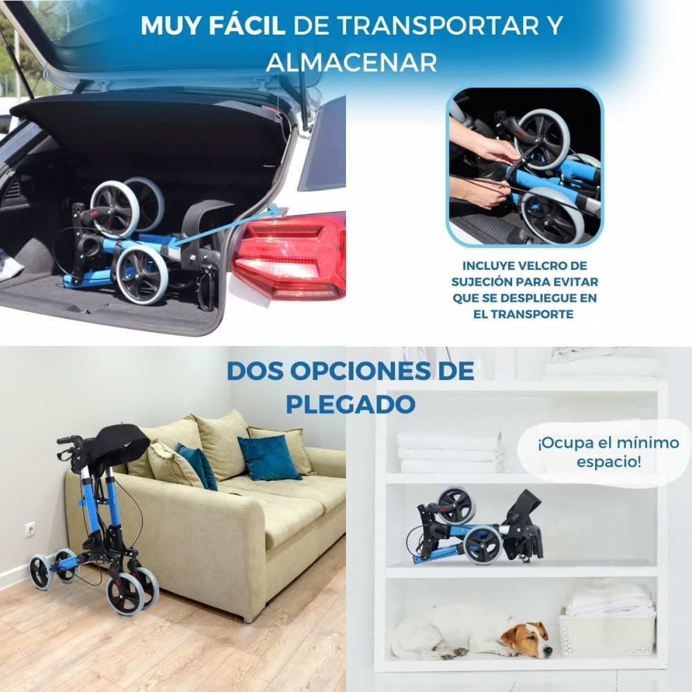 Un andador azul en un coche y en un estante. Un perro duerme cerca.