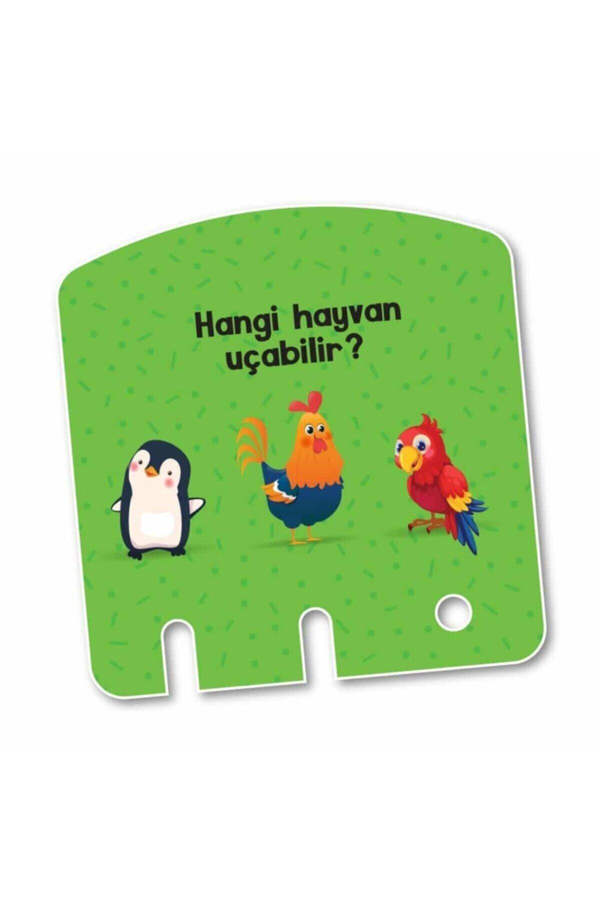 Pinguin, horoz ve papağanli yeşil arka plan. Türkçe metin.