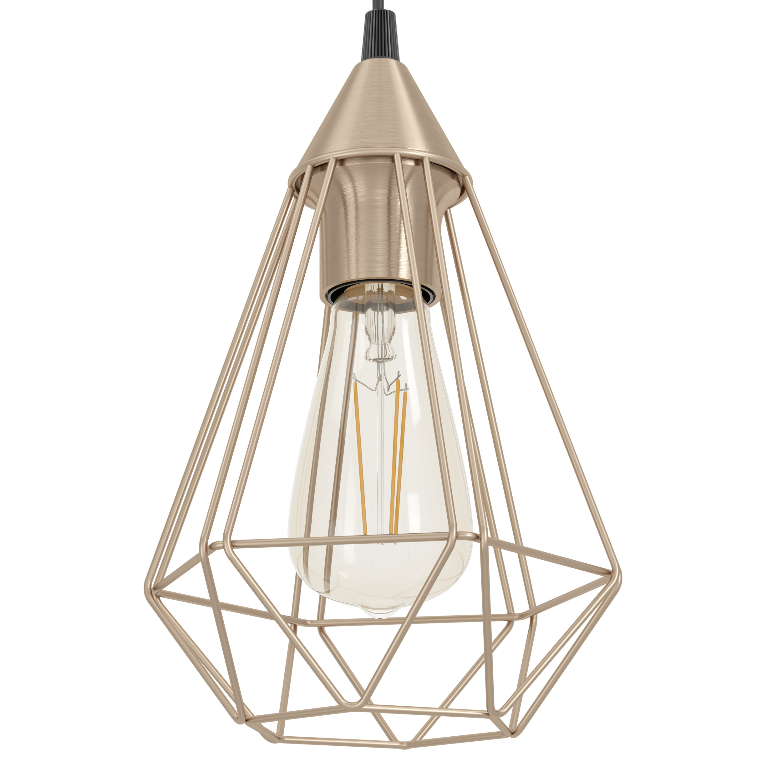 Eine goldene Käfig-Pendelleuchte mit einer Edison-Glühbirne.