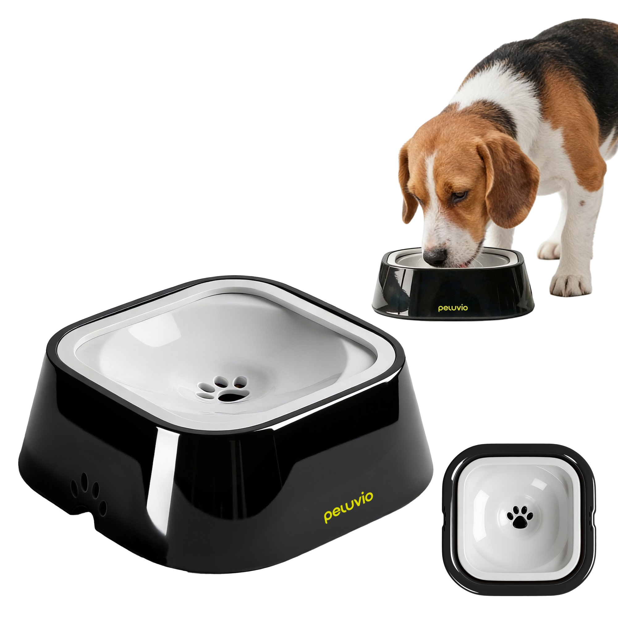 Ein Beagle trinkt aus einem schwarzen Napf mit Pfotenabdruck-Design. Daneben ein weiterer Napf.