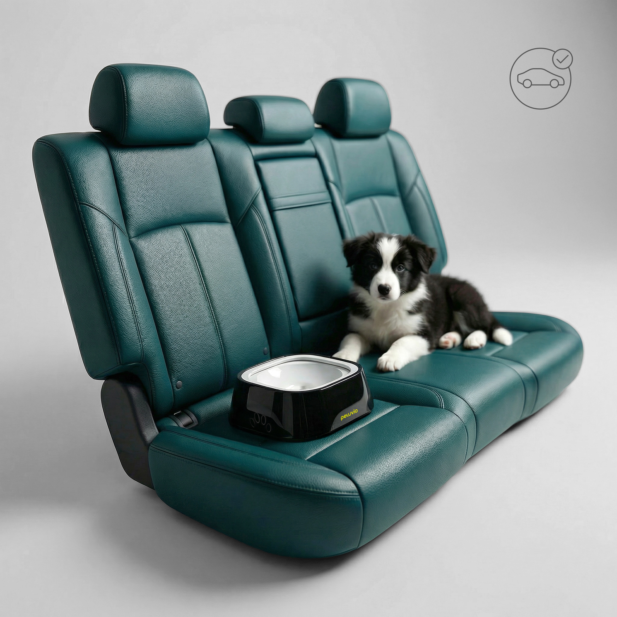 Ein Border-Collie-Welpe sitzt auf einem grünen Autositz neben einem Futternapf.