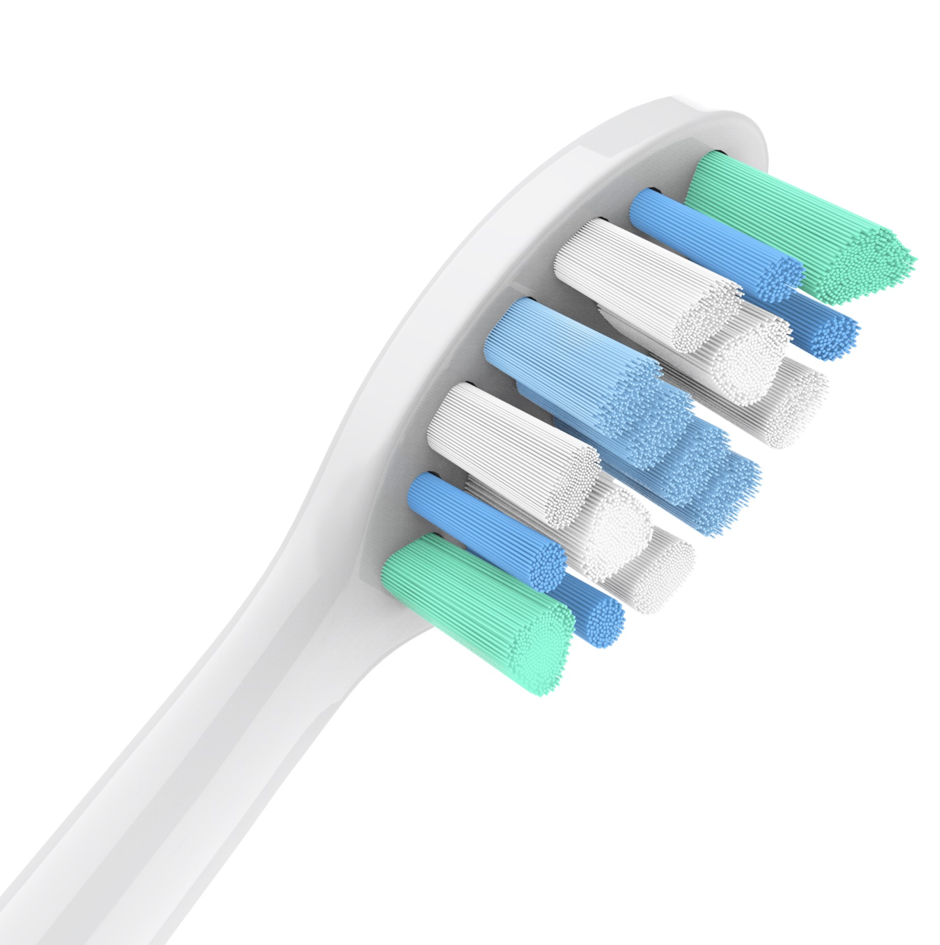 Nahaufnahme des Bürstenkopfes einer elektrischen Zahnbürste mit blauen, weißen und grünen Borsten.