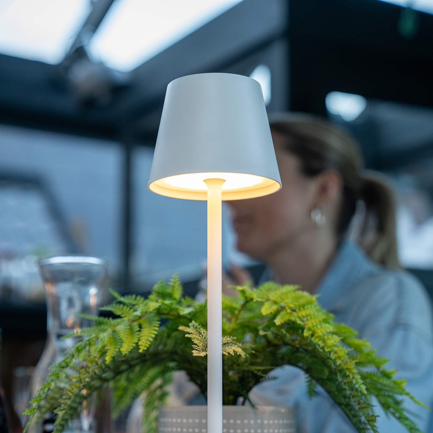 Een witte lamp verlicht een groene varen op een tafel.