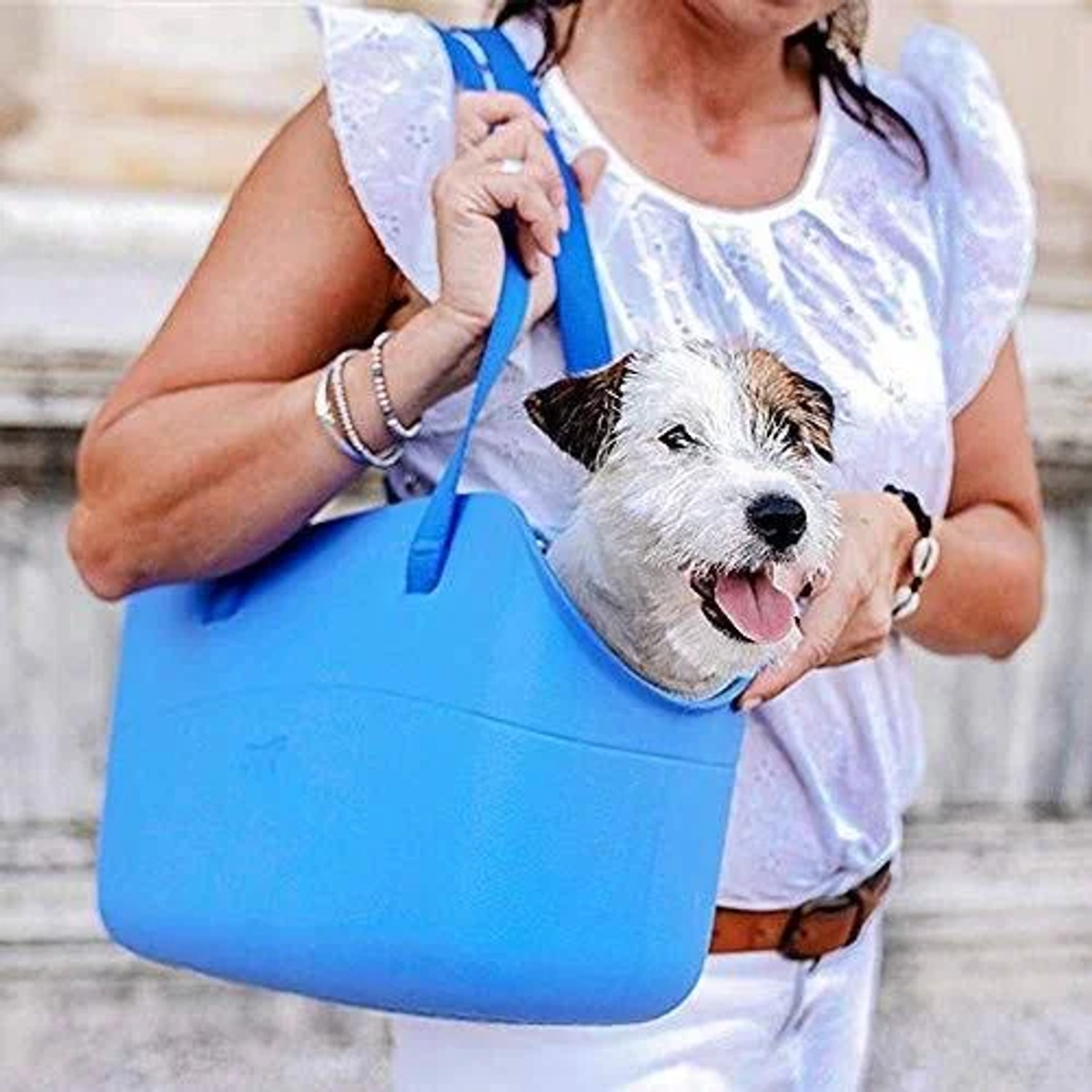 Ein Hund sitzt in einer blauen Tasche, die von einer Frau getragen wird.