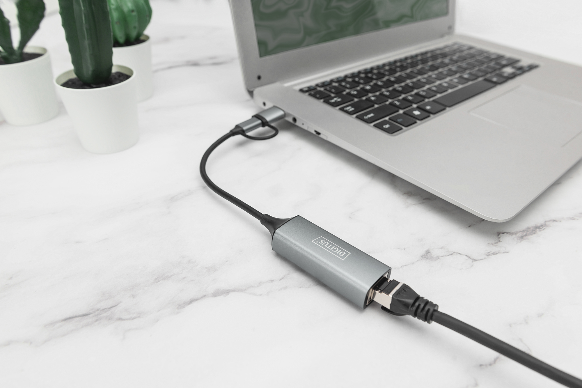 Ein silberner Adapter verbindet ein schwarzes Kabel mit einem Laptop. Drei Kakteen stehen im Hintergrund.
