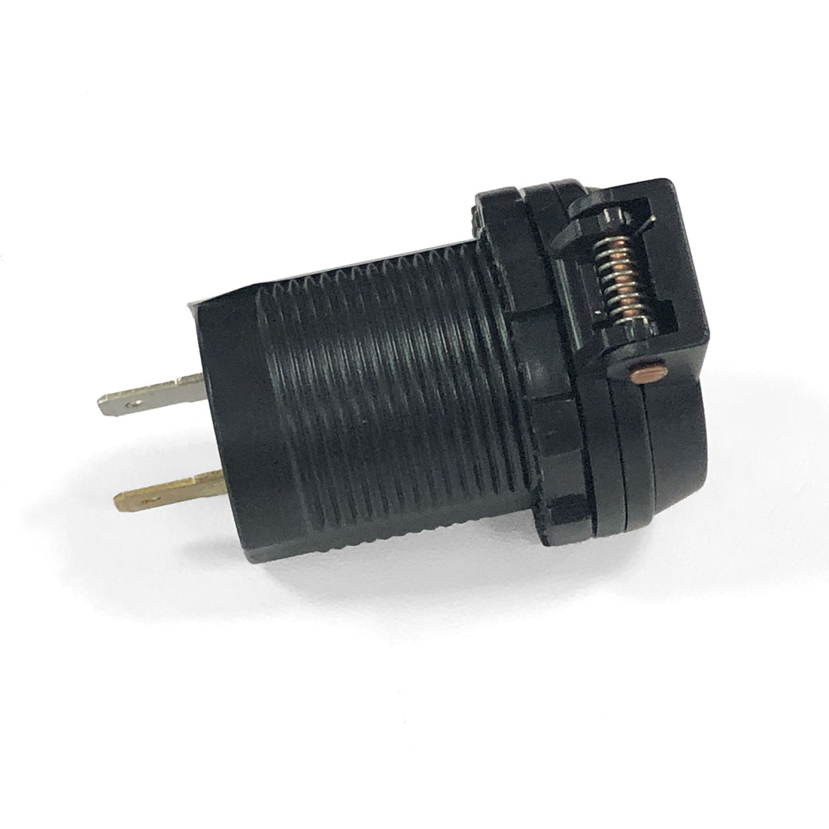 Ein schwarzer Stecker mit zwei Metallstiften und einer Feder.