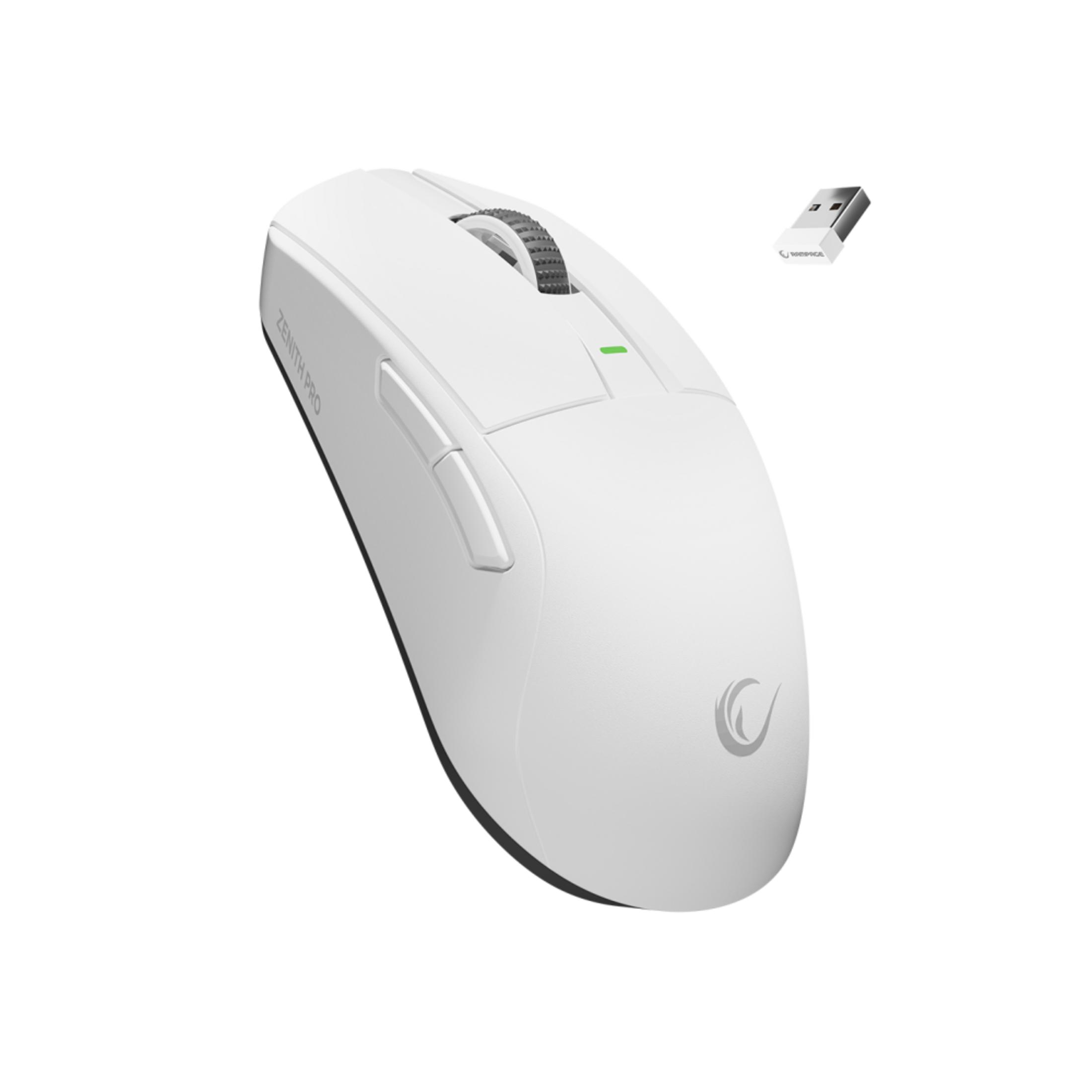 Mouse wireless bianco con rotellina e dongle USB, su sfondo bianco.