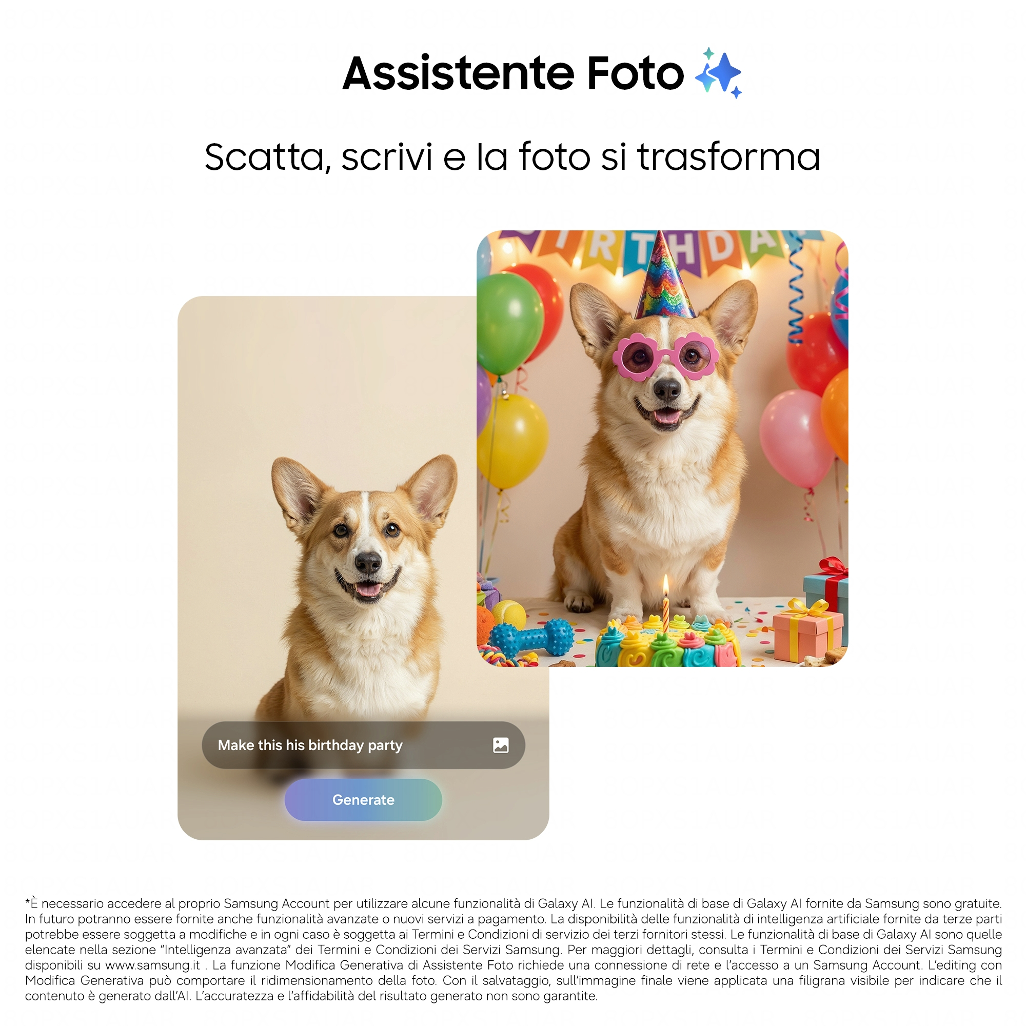 Ein Corgi mit Partyhut und Brille sitzt vor einem Geburtstagskuchen. Ein anderer Corgi ist links.