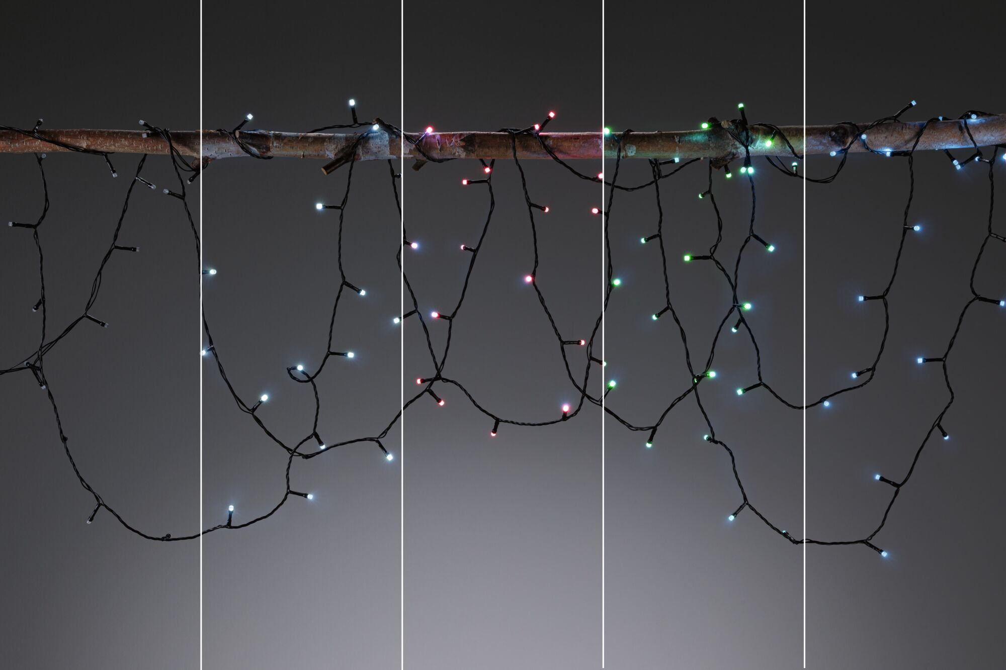 Lampki choinkowe w kolorowych żarówkach wiszą na gałęzi.