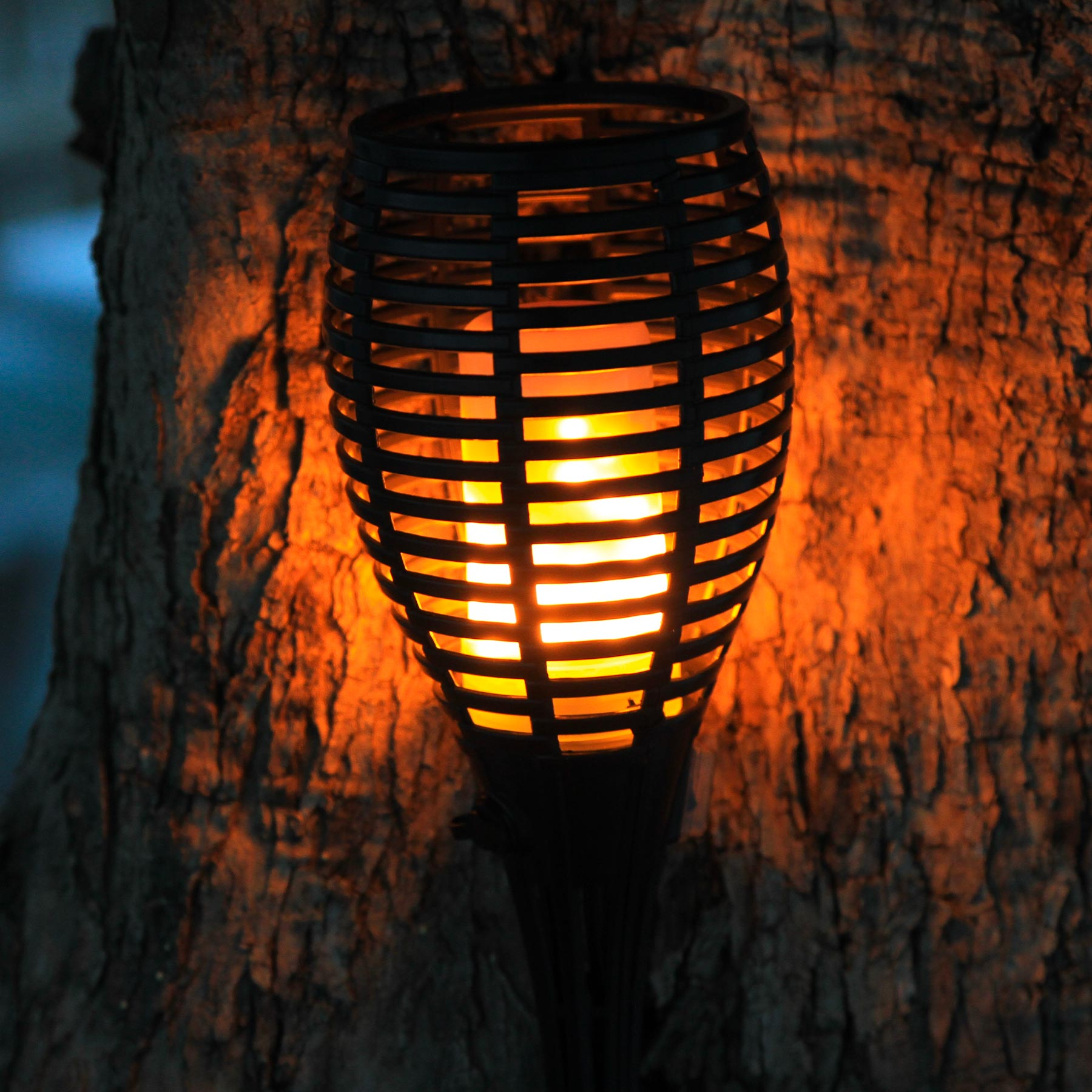 Eine schwarze Laterne mit Flammenlicht gegen einen Baumstamm.
