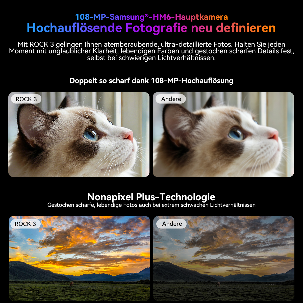 Zwei Bilder vergleichen: eine Katze und eine Landschaft bei Sonnenuntergang.